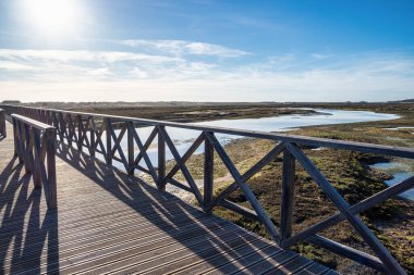 Dönüm noktası yaya köprüsü başlığa ünlü Quinta Ria Formosa sulak doğal koruma bölge peyzaj, Algarve Lago plaj var. Portekiz