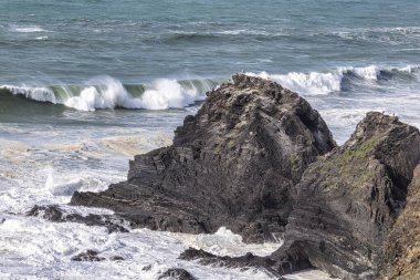 Yuvalarındaki beyaz leylekler, Portekiz 'in Algarve eyaletinin Ohexe sahilindeki bir uçurumda..