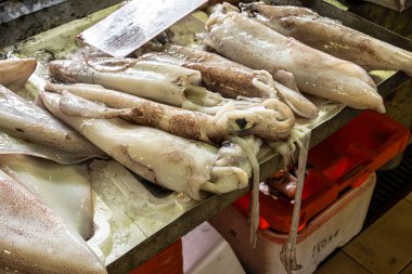 Portekiz 'in güneyindeki Algarve' de Loule Markethall 'daki balık ve market Avrupa' da..