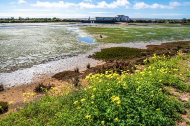 Ria Formosa Doğal Parkı 'ndaki gelgit değirmeni binası, Olhao, Portekiz Algarve
