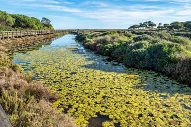 Portekiz 'de Faro yakınlarındaki Parque Natural da Ria Formosa' nın manzara görüntüsü