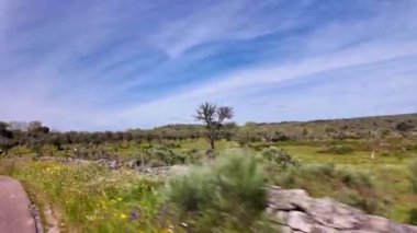 Park Natural da Serra de Sao Mamede 'den geçiyoruz. Portekiz 'de Alentejo. Mantar ağaçları doğal kaynaklar manzarası.