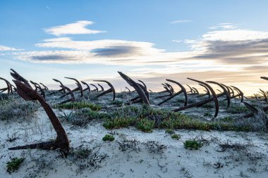 Portekiz, Algarve, Tavira 'daki Praia do Barril plajındaki Anchor Mezarlığı' nın sahilindeki paslı eski çapalar.