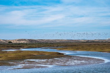 Portekiz 'de Faro yakınlarındaki Parque Natural da Ria Formosa' nın manzara görüntüsü
