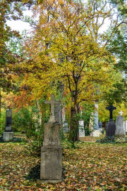 Münih, Almanya - 09 Kasım 2023: Münih 'teki Eski Kuzey Mezarlığı, Almanya' nın tarihi mezar taşlarıyla sonbahar manzarası. Cenazeler 1944 'ten beri burada yapılmadı. Bunun yerine mezarlık bir park olarak kullanılıyor..