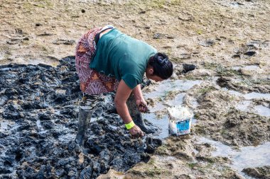 Ria Formosa, Portekiz - 17 Şubat 2024: Portekiz 'in Faro kenti yakınlarındaki Parque Natural da Ria Formosa plajında deniz kabuğu toplayan kadın