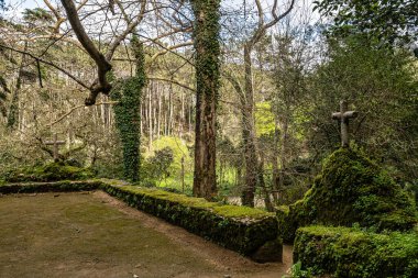 Portekiz 'deki Serra de Sintra Ulusal Parkı' nda terk edilmiş ve boş bir ortaçağ kongresi.