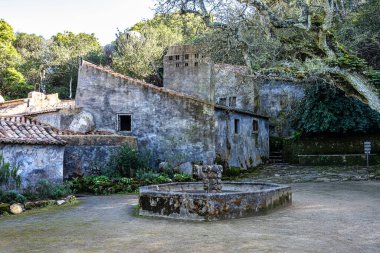 Portekiz 'deki Serra de Sintra Ulusal Parkı' nda terk edilmiş ve boş bir ortaçağ kongresi.