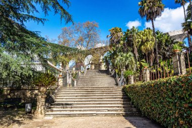 Portekiz 'deki Coimbra Üniversitesi Botanik Bahçesi. Bahçe 18. yüzyılda kuruldu ve şehirdeki en popüler yerlere ait..