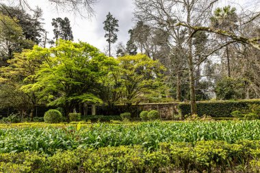 Portekiz 'deki Coimbra Üniversitesi Botanik Bahçesi. Bahçe 18. yüzyılda kuruldu ve şehirdeki en popüler yerlere ait..