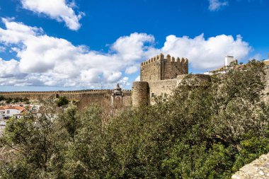 Obidos Kalesi (Portekizce: Castelo de Obidos) Portekiz 'in batısında yer alan Obidos şehrinde yer alan bir ortaçağ sarayıdır.