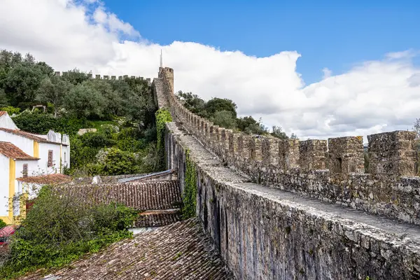Obidos Kalesi (Portekizce: Castelo de Obidos) Portekiz 'in batısında yer alan Obidos şehrinde yer alan bir ortaçağ sarayıdır.