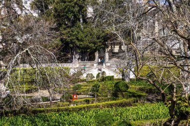 Portekiz 'deki Coimbra Üniversitesi Botanik Bahçesi. Bahçe 18. yüzyılda kuruldu ve şehirdeki en popüler yerlere ait..