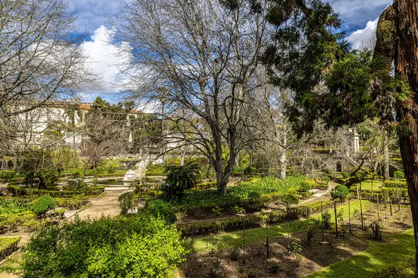 stock image The Botanical Garden of the University of Coimbra in Portugal. The garden was founded in the 18th century and belongs to the most popular spots in the city.