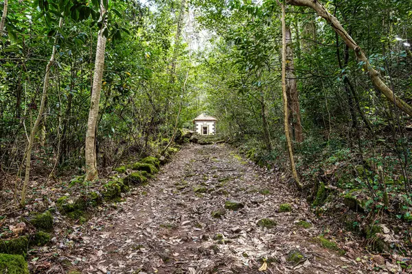 stock image Calvary chapel in the way to the cross, via crucis, trail on ancient forest of Bussaco, in Luso, Mealhada, Aveiro in Portugal.