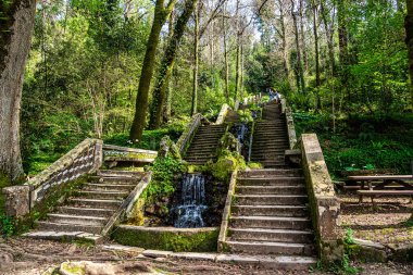 Aveiro, Portugal - Mar 18, 2024: Famous water stairway Fonte Fria in the magical ancient forest of Bussaco in Luso, Aveiro in Portugal, fairy tale enchanted green trees clipart