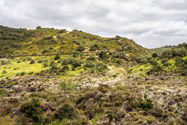 Mertola, Portekiz, Alentejo yakınlarındaki doğal do Vale do Guadiana 'da yabani çayırları, nehirleri ve şelaleleri olan güzel bir manzara.