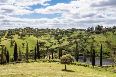 Mertola, Portekiz, Alentejo yakınlarındaki doğal do Vale do Guadiana 'da yabani çayırları, nehirleri ve şelaleleri olan güzel bir manzara.