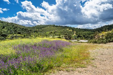 Portekiz, Avrupa 'daki Algarve bölgesinde bulunan Gioes yakınlarındaki Vascao nehri boyunca yürüyüş yapmak.