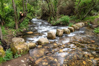 Portekiz 'in Portalegre Bölgesi' ndeki Percurso Pedestre de Galegos 'ta bir derenin üzerinden taşlardan bir köprüde yürüyorum.