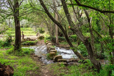 Portekiz 'in Portalegre Bölgesi' ndeki Percurso Pedestre de Galegos 'ta bir derenin üzerinden taşlardan bir köprüde yürüyorum.