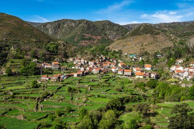 Portekiz 'deki Peneda Geres Ulusal Parkı' ndaki geleneksel tarımsal ve teraslı tarlalarıyla küçük Roucas köyü manzarası
