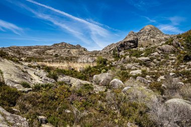 Portekiz 'deki Peneda Geres ulusal parkında Penameda Tepesi' nin etrafında yürüyorum. Pantano da Peneda