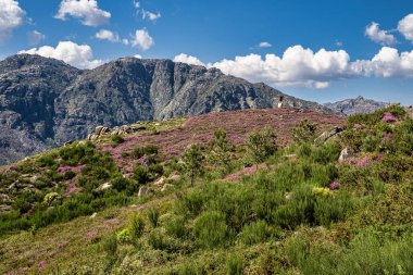 Portekiz, Avrupa 'daki Peneda Geres Ulusal Parkı manzarası. Cabril ve Ruiva 'nın arasında