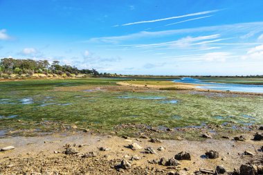 Portekiz 'de Faro yakınlarındaki Parque Natural da Ria Formosa' nın manzara görüntüsü