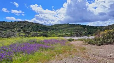 Portekiz, Avrupa 'daki Algarve bölgesinde bulunan Gioes yakınlarındaki Vascao nehri boyunca yürüyüş yapmak.