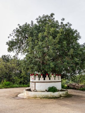 Portekiz 'in Algarve bölgesindeki Rocha da Pena' ya yürüyüş, Fonte dos Amuados