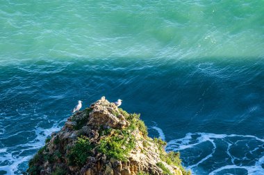 Praia da Marinha Sahili, Yedi Asılı Vadi Yolu 'ndaki kayalıkların ve kayalıkların arasında Percurso dos Sete Vales Suspensos. Algarve, Portekiz