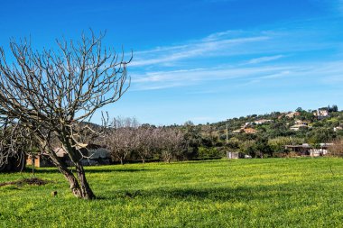 MÖ 6000-4500 yılları arasında Portekiz 'in Algarve şehrinin Vale Fuzeiros yakınlarındaki kuru tepelerde yazılmış gizemli sembollere sahip kum taşı menhir..