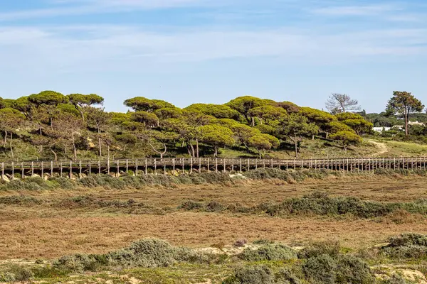 stock image Landmark footbridge heading to famous Quinta do Lago beach, in Ria Formosa wetlands natural conservation region landscape, Algarve. Portugal