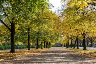 Bir sonbahar günü Münih 'teki Hofgarten Parkı' nda yürümek, Avrupa 'da Almanya