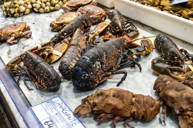 Portekiz Setubal 'de Mercado do do Livramento. Taze balık ve gıda pazarı