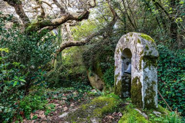 Portekiz 'deki Serra de Sintra Ulusal Parkı' nda terk edilmiş ve boş bir ortaçağ kongresi.