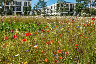 Impressions from the State Garden Show 2024 in Kirchheim, Bavaria in Germany clipart