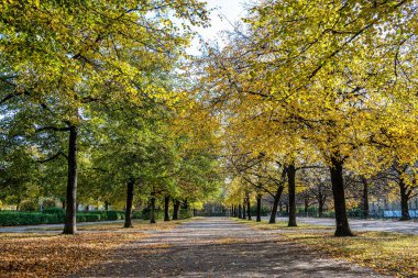 Walking in Hofgarten Park in Munich on an autumn day, Germany in Europe clipart