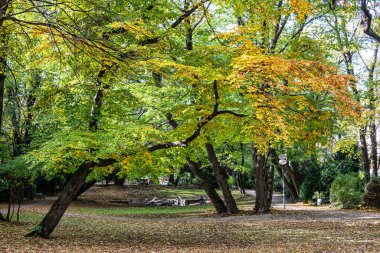 Münih, Almanya 'daki Karl-Amadeus-Hartmann Çeşmesi. Almanya 'nın Bavyera eyaletinin Münih ilçesine bağlı Maximiliansplatz' da yer almaktadır..