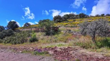 Portekiz, Avrupa 'daki Algarve bölgesinde bulunan Gioes yakınlarındaki Vascao nehri boyunca yürüyüş yapmak.