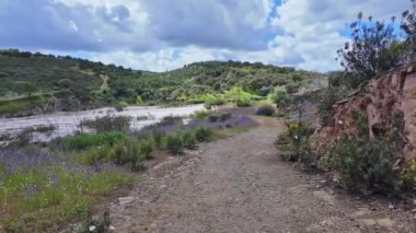 Portekiz, Avrupa 'daki Algarve bölgesinde bulunan Gioes yakınlarındaki Vascao nehri boyunca yürüyüş yapmak.