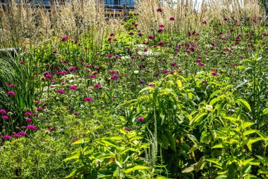 2024 Kirchheim, Bavyera, Almanya 'daki State Garden Show' dan izlenimler