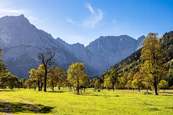 Ahornboden 'daki akçaağaç ağaçlarının sonbahar manzarası, Karwendel dağları, Tyrol, Avusturya