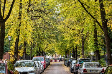 Münih, Almanya - 09 Kasım 2023: Sonbaharda Münih 'teki Adalbert Caddesi' nde ağaçlar, renkli yapraklar, park etmiş arabalar ve bisikletçiler. Münih, Almanya