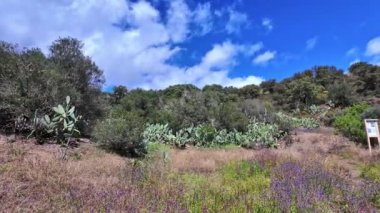 Portekiz, Avrupa 'daki Algarve bölgesinde bulunan Gioes yakınlarındaki Vascao nehri boyunca yürüyüş yapmak.