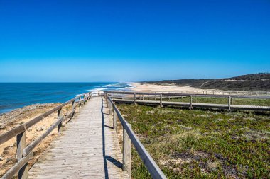 Portekiz, Sao Pedro de Moel 'deki güzel Concha plajı.