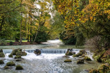 isar 'ın suyu yeşil yosun kayalarının üzerine dökülüyor ve etrafı uzun yeşil ağaçlarla çevrili, İngiliz Bahçesi, Münih, Almanya.