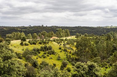 Mertola, Portekiz, Alentejo yakınlarındaki doğal do Vale do Guadiana 'da yabani çayırları, nehirleri ve şelaleleri olan güzel bir manzara.