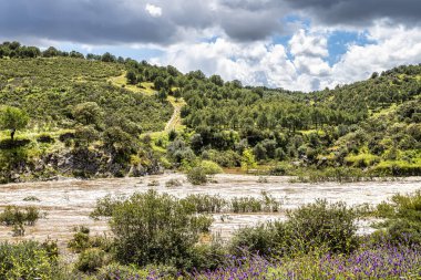 Portekiz, Avrupa 'daki Algarve bölgesinde bulunan Gioes yakınlarındaki Vascao nehri boyunca yürüyüş yapmak.